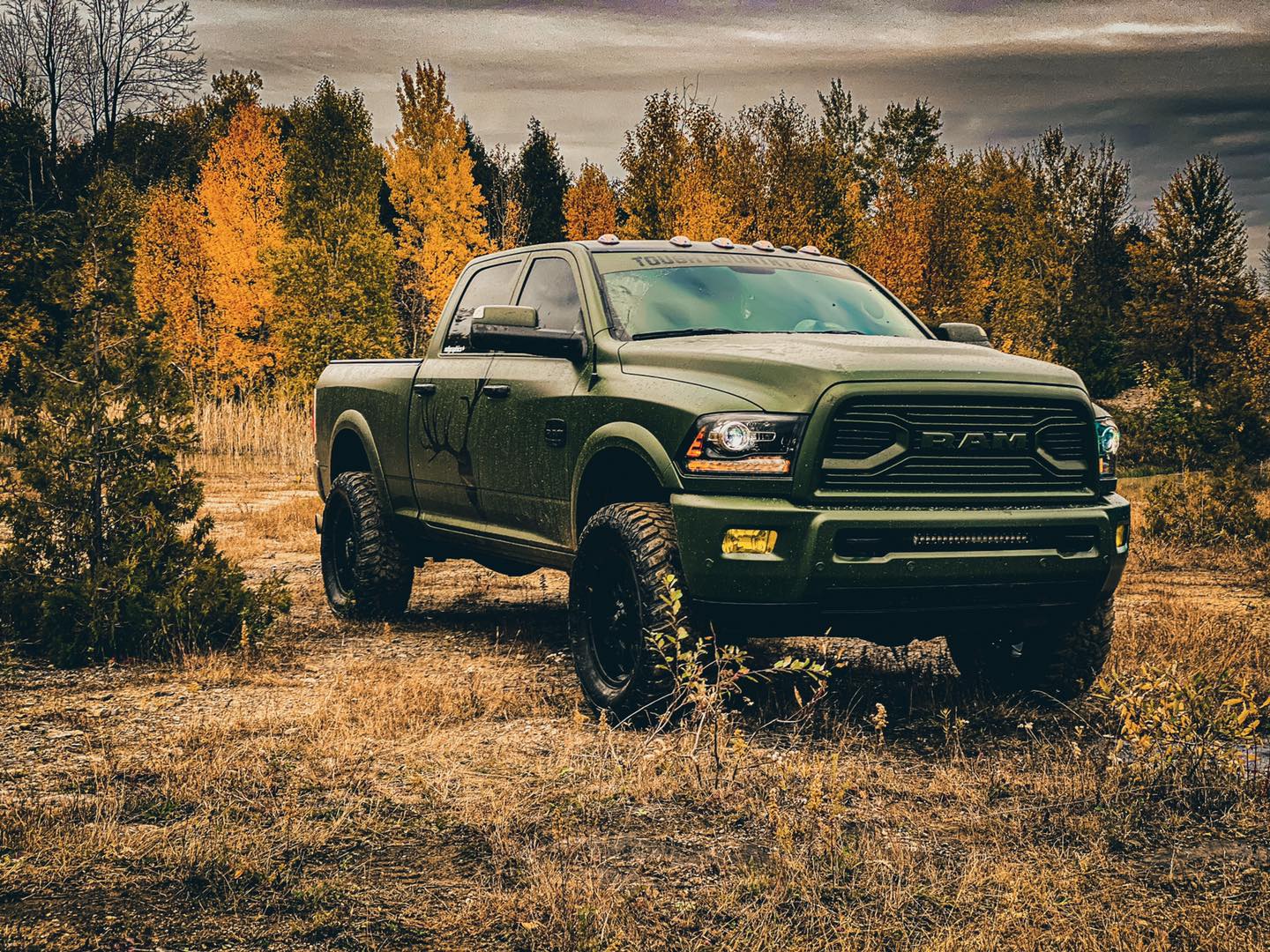 Vinyl Car Wrap, 3M Paint Protection Film, Ottawa/Gatineau GoldLabel